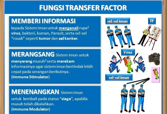 Fungsi Transfer Factor